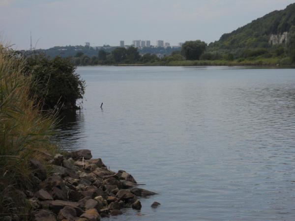 Dscn0106 3